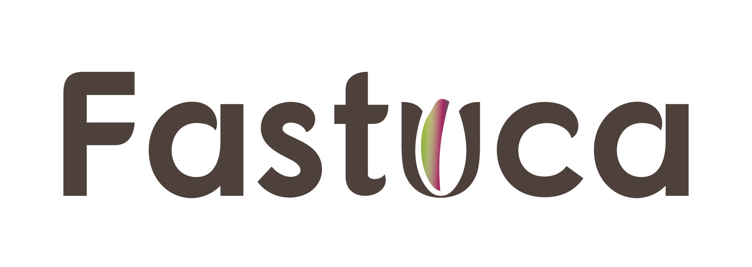 www.fastuca.eu-Fastuca